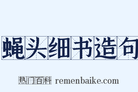 蝇头细书造句是什么意思的图片
